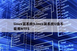 linux装系统|Linux装系统U盘不能用NTFS