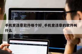 手机查违章软件哪个好_手机查违章的软件叫什么