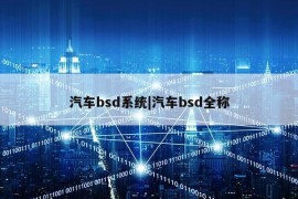 汽车bsd系统|汽车bsd全称