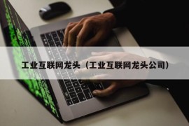 工业互联网龙头（工业互联网龙头公司）