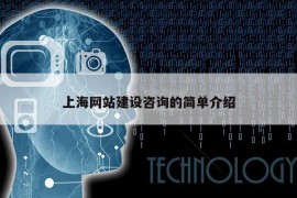 上海网站建设咨询的简单介绍