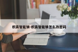 积高智能锁-积高智能锁怎么改密码