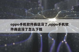 oppo手机软件商店没了,oppo手机软件商店没了怎么下载