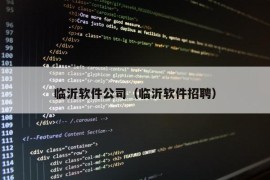 临沂软件公司（临沂软件招聘）