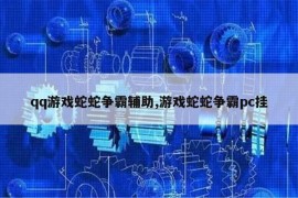 qq游戏蛇蛇争霸辅助,游戏蛇蛇争霸pc挂