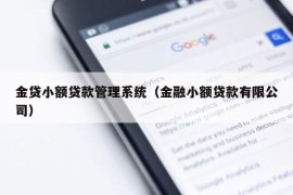 金贷小额贷款管理系统（金融小额贷款有限公司）