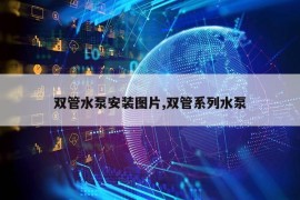 双管水泵安装图片,双管系列水泵