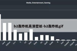 b2轰炸机高清壁纸-b2轰炸机gif