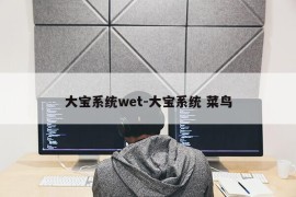 大宝系统wet-大宝系统 菜鸟