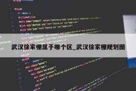 武汉徐家棚属于哪个区_武汉徐家棚规划图