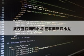 武汉互联网四小龙|互联网新四小龙