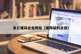 自己建设企业网站（建网站的企业）