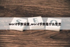 word节数设置,word节数是什么意思