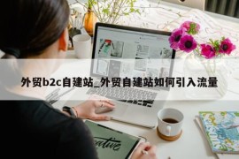 外贸b2c自建站_外贸自建站如何引入流量