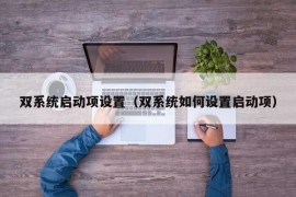 双系统启动项设置（双系统如何设置启动项）