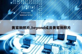 黄家驹照片,beyond成员黄家驹照片