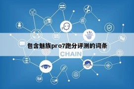 包含魅族pro7跑分评测的词条