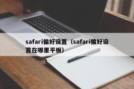 safari偏好设置（safari偏好设置在哪里平板）