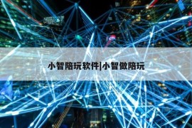 小智陪玩软件|小智做陪玩