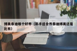 博美泰迪哪个好养（新手适合养泰迪博美还是比熊）