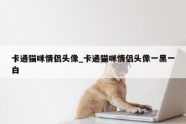 卡通猫咪情侣头像_卡通猫咪情侣头像一黑一白