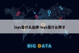 lays是什么品牌-lays是什么牌子