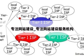 专注网站建设_专注网站建设服务机构