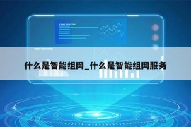 什么是智能组网_什么是智能组网服务