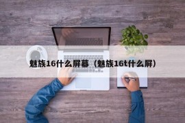 魅族16什么屏幕（魅族16t什么屏）