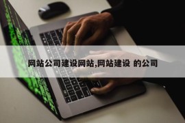 网站公司建设网站,网站建设 的公司