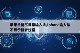 苹果手机不显示输入法,iphone输入法不显示拼音过程