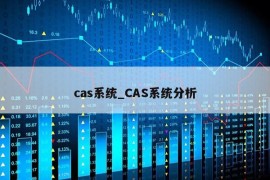 cas系统_CAS系统分析