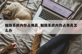 魅族系统内存占用高_魅族系统内存占用高怎么办