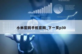 小米官网手机官网_下一页p30