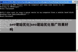 seo建站优化|seo建站优化推广效果好吗
