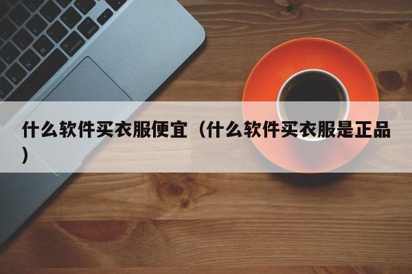 什么软件买衣服便宜（什么软件买衣服是正品）第1张-网络科技学堂