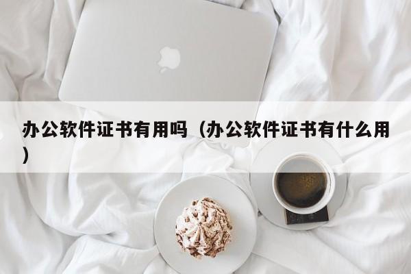 办公软件证书有用吗（办公软件证书有什么用）第1张-网络科技学堂