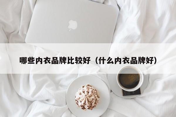 哪些内衣品牌比较好（什么内衣品牌好）第1张-网络科技学堂