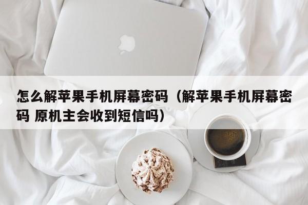 怎么解苹果手机屏幕密码（解苹果手机屏幕密码 原机主会收到短信吗）第1张-网络科技学堂