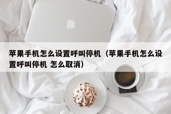 苹果手机怎么设置呼叫停机（苹果手机怎么设置呼叫停机 怎么取消）第1张-网络科技学堂