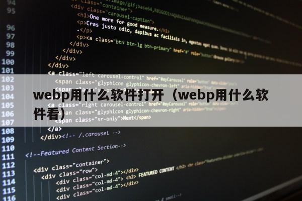 webp用什么软件打开（webp用什么软件看）第1张-网络科技学堂