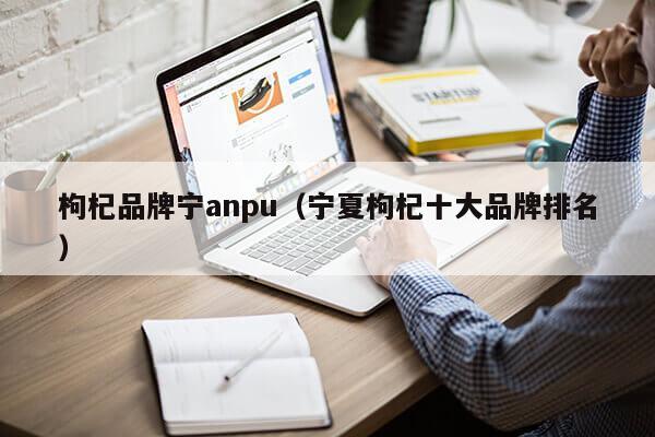 枸杞品牌宁anpu（宁夏枸杞十大品牌排名）第1张-网络科技学堂