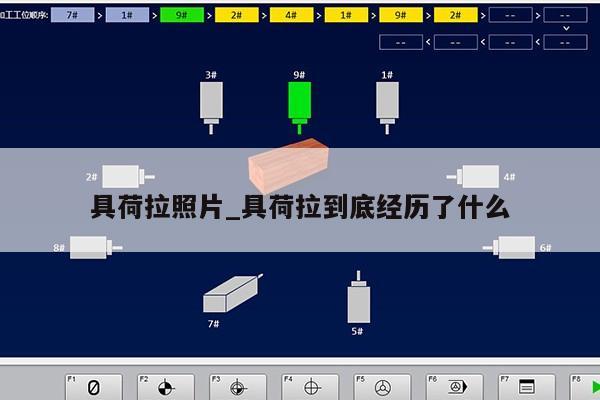 具荷拉照片_具荷拉到底经历了什么第1张-网络科技学堂