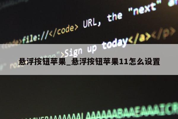 悬浮按钮苹果_悬浮按钮苹果11怎么设置第1张-网络科技学堂