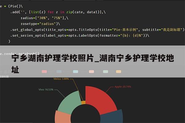 宁乡湖南护理学校照片_湖南宁乡护理学校地址第1张-网络科技学堂