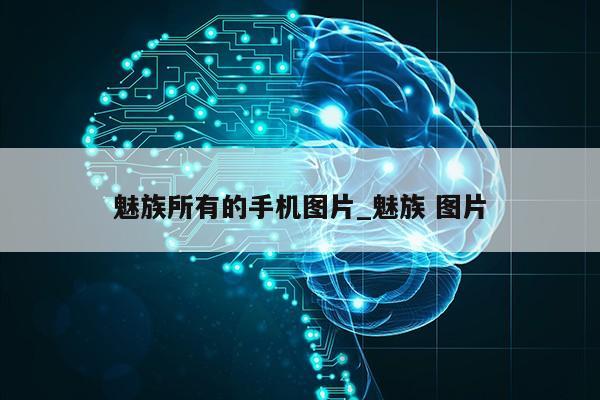 魅族所有的手机图片_魅族 图片第1张-网络科技学堂