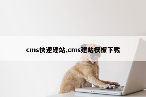 cms快速建站,cms建站模板下载第1张-网络科技学堂