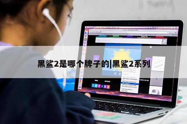 黑鲨2是哪个牌子的|黑鲨2系列第1张-网络科技学堂