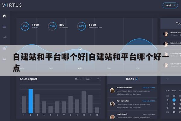 自建站和平台哪个好|自建站和平台哪个好一点第1张-网络科技学堂