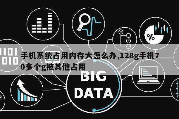 手机系统占用内存大怎么办,128g手机70多个g被其他占用第1张-网络科技学堂